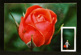 Kleine Fotokunst Blume