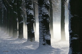 Schnee in Mönchengladbach